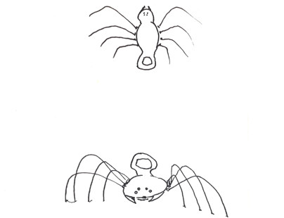 L'Araignée-décapsuleur de Thomas
